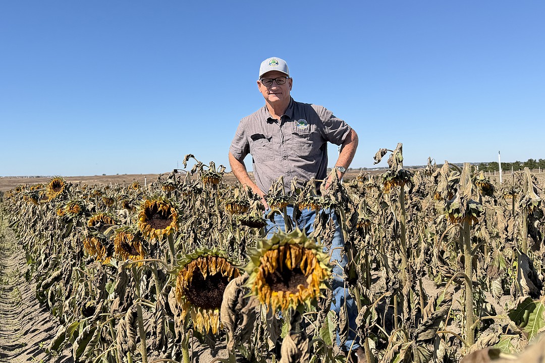 Frigid temperatures hit  Southern Hill Farms hard