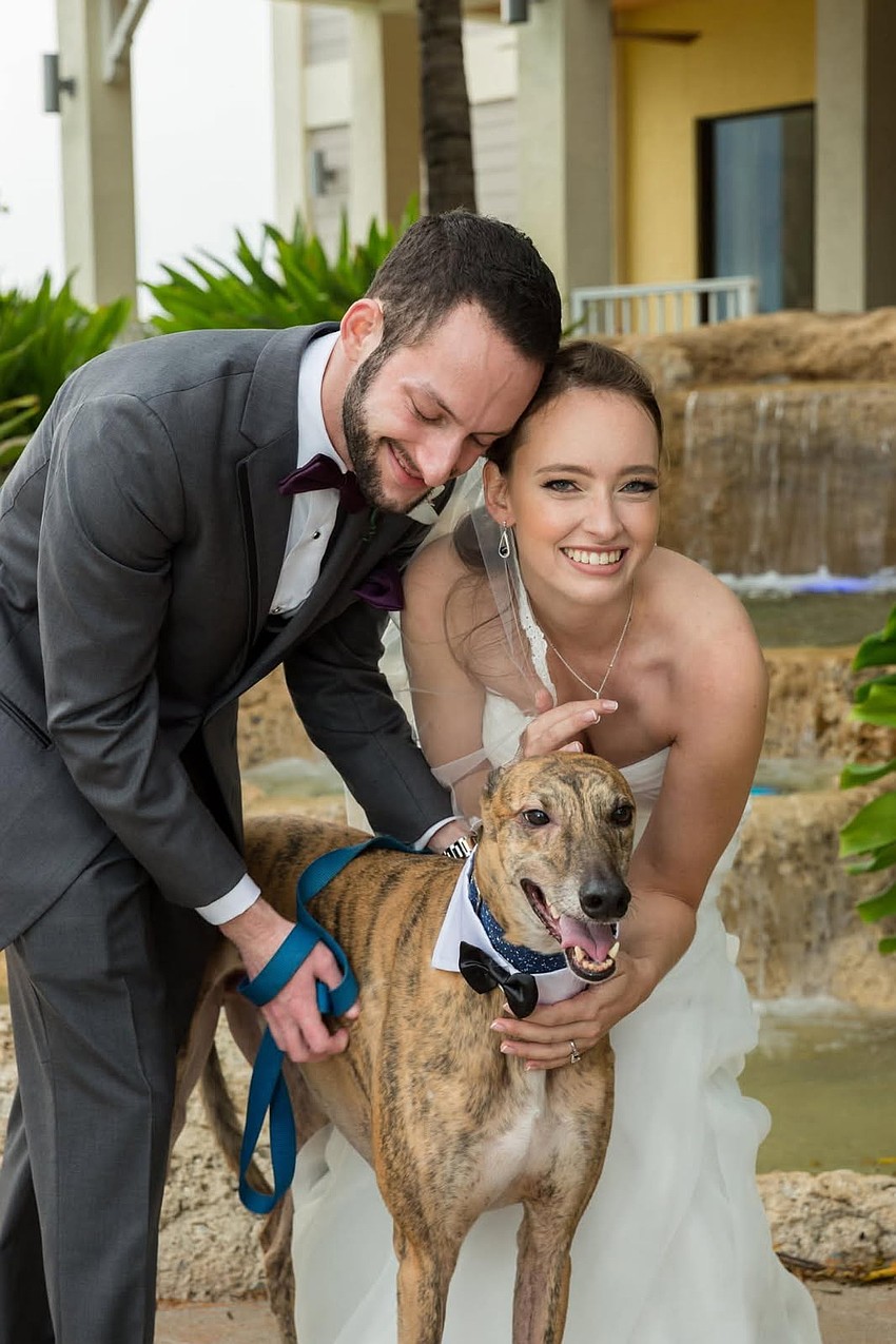 Steven and Danni Solowski dressed Anubis in a tuxedo collar and pieces for their wedding.
