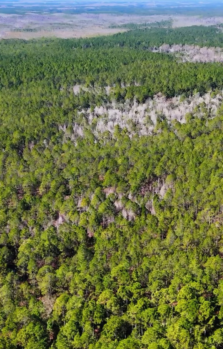 An aerial of the property purchased by Samadhi Wildlife. Courtesy photo