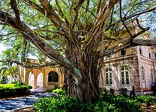 New College was founded in 1960.