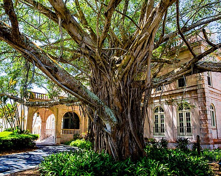 New College was founded in 1960.