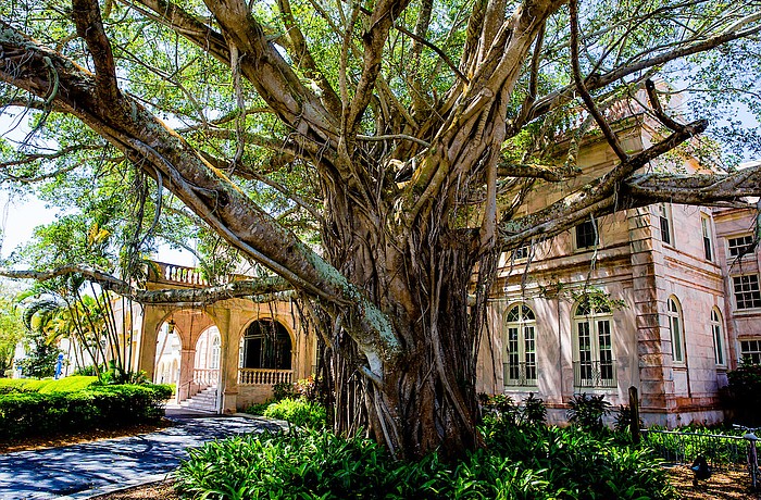 New College was founded in 1960.