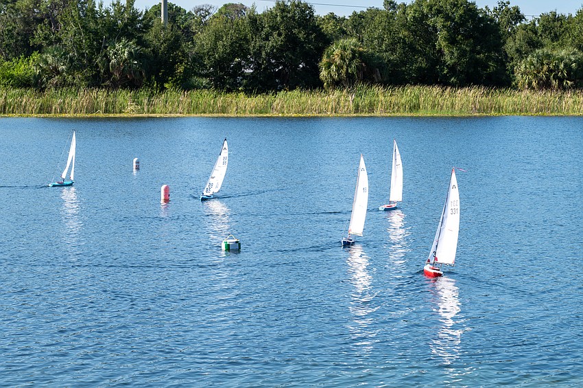 Members of the Sarasota Model Yacht Club guide their sleek radio-controlled sailboats across Benderson Park’s calm waters during a weekend race. Members of the Sarasota Model Yacht Club guide their sleek radio-controlled sailboats across Benderson Park’s calm waters during a weekend race.