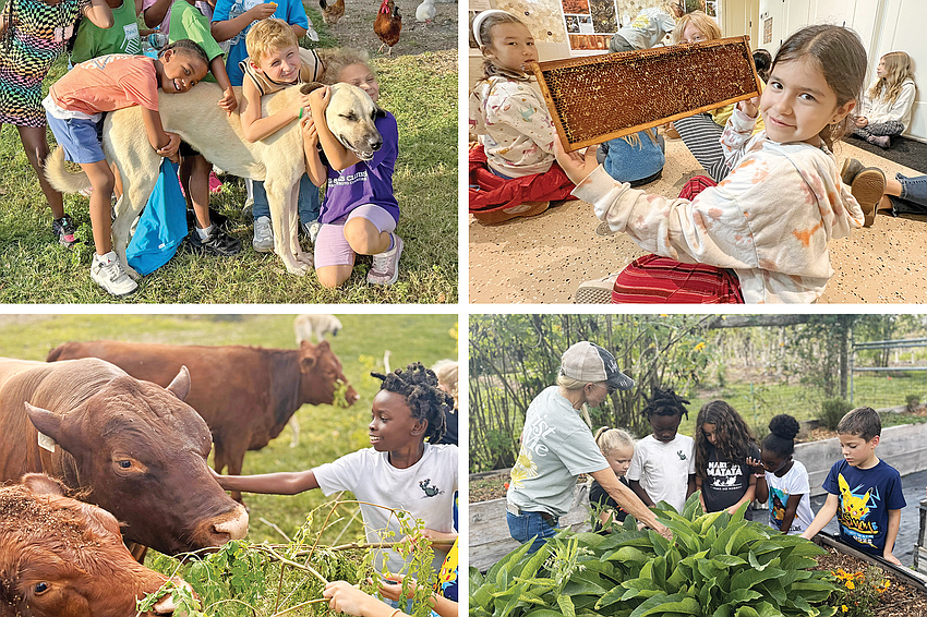Local school children on field trips get a firsthand look at the pleasures and responsibilities of life on a farm.