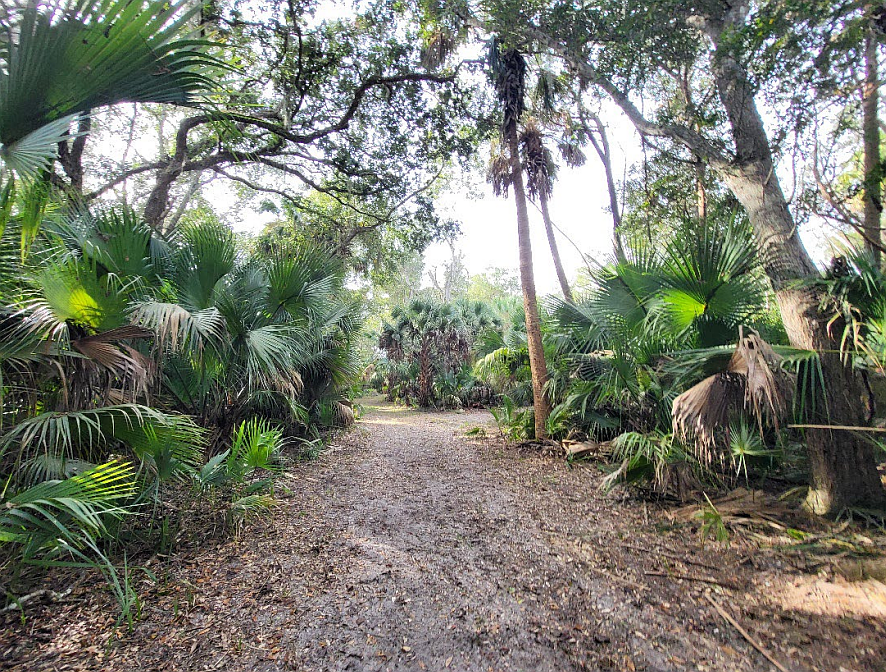 Flagler County eyes 21-acre property in The Hammock to environmentally sensitive land program