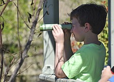 Ryley Hoaglin, 10, looks at birds from the gazebo.