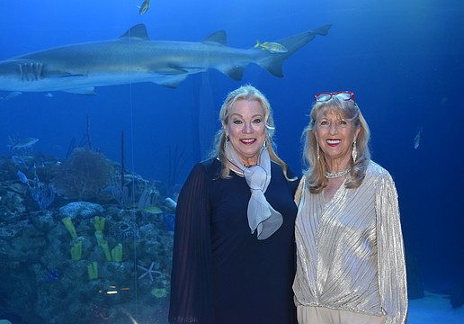University Park Women’s Club members Kristy Schubert and Fifi Queen co-chaired the “An Evening at SEA” fundraiser that raised $22,300. The funds will benefit two nonprofits — Women's Resource Center and Feeding Empty Little Tummies.