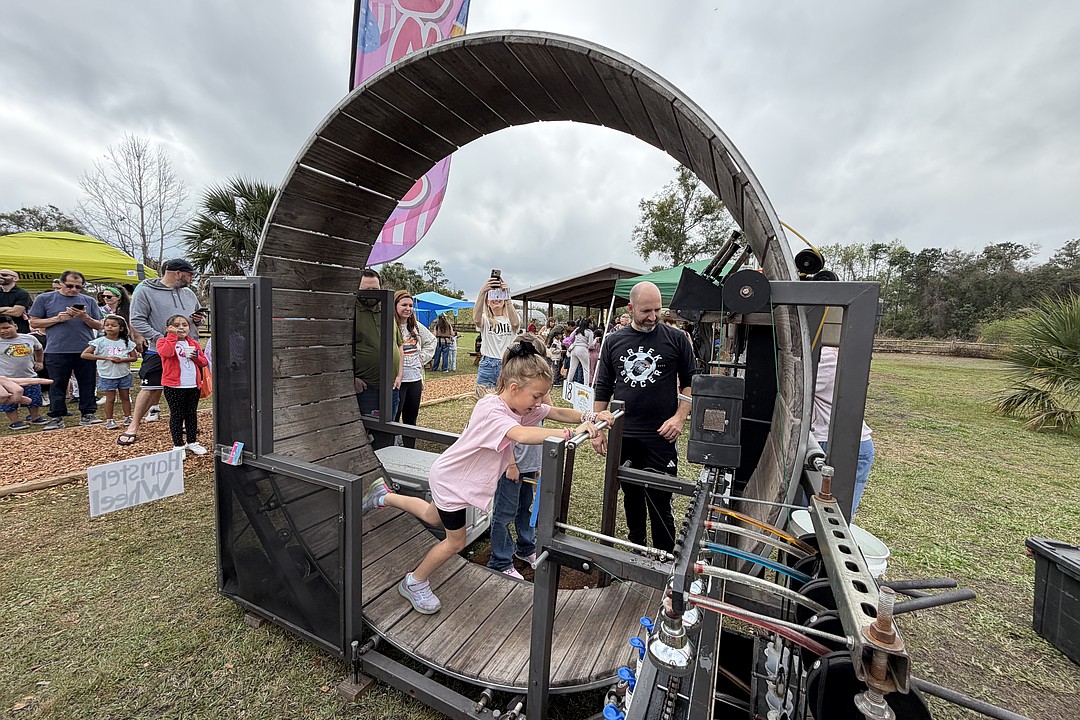 PHOTOS: Innovation Montessori Ocoee Spring Festival