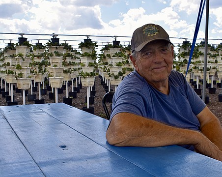 Doug Melcher is the co-owner of BellaBlue Berry Farm and Winery in Myakka City.