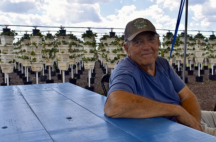 Doug Melcher is the co-owner of BellaBlue Berry Farm and Winery in Myakka City.