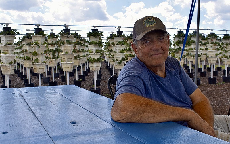 Doug Melcher is the co-owner of BellaBlue Berry Farm and Winery in Myakka City.