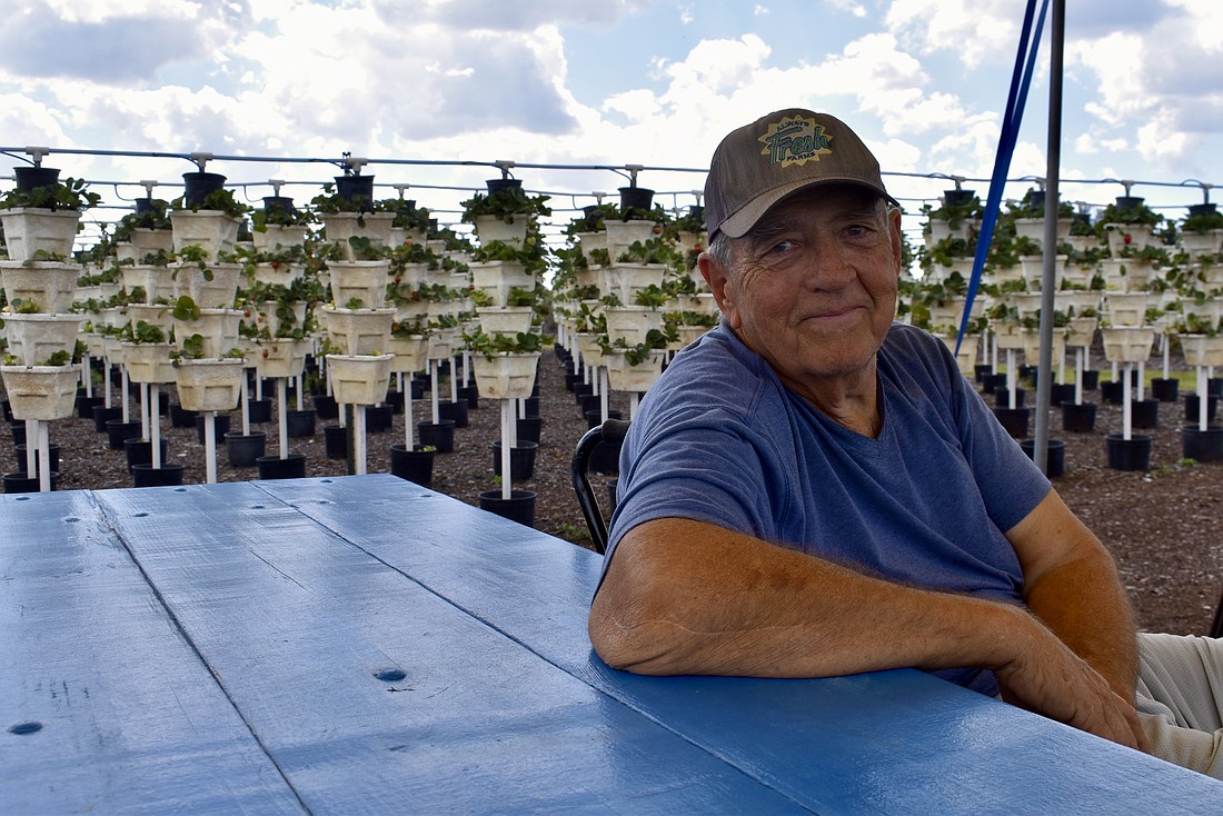 Doug Melcher is the co-owner of BellaBlue Berry Farm and Winery in Myakka City.