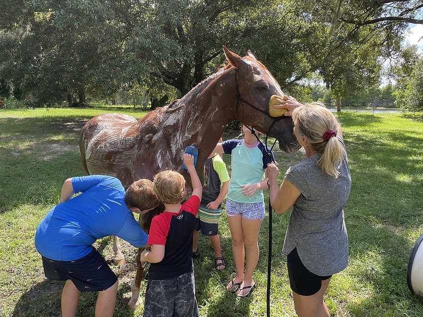 Commissioner Carol Ann Felts gives the Jessee kids their first country experience.
