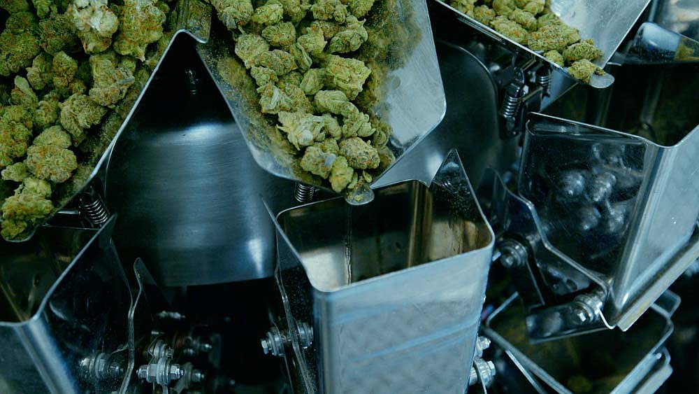 Trulieve flower processing.