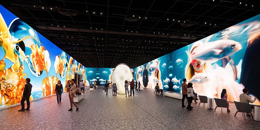 A rendering of an exhibit inside The Dali Museum's planned expansion. A rendering of an exhibit inside The Dali Museum's planned expansion.