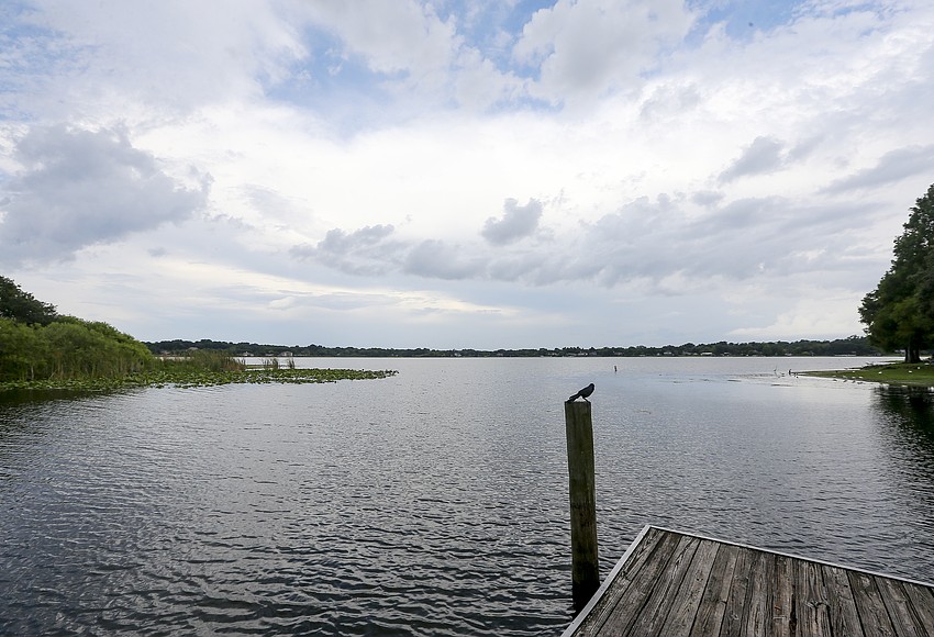 City of Ocoee to perform shoreline restoration on Starke Lake