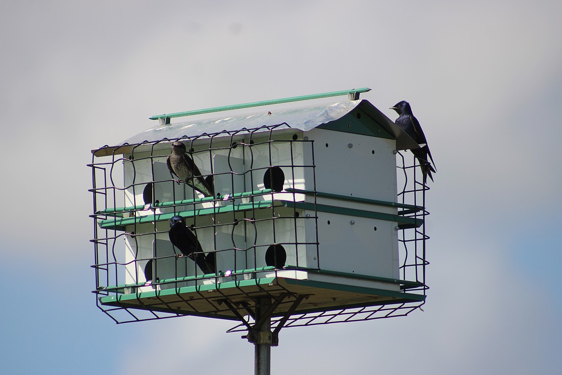 A bird box for purple martins sits on the golf course at the Ritz-Carlton Members Club of Lakewood Ranch.