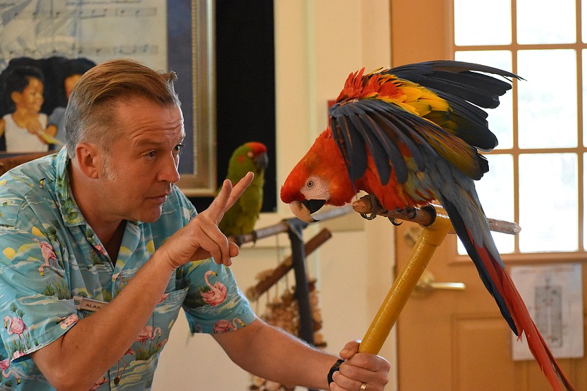 Alan Gillespie interacts with Amber, a scarlet macaw.