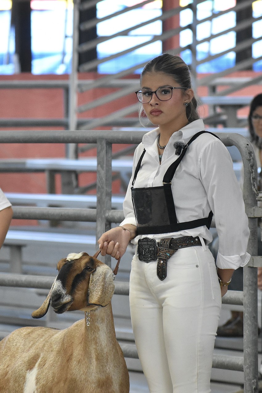 Cassie Smith, a high school junior representing a new agricultural program at Cardinal Mooney Catholic High School, showcases Belle.
