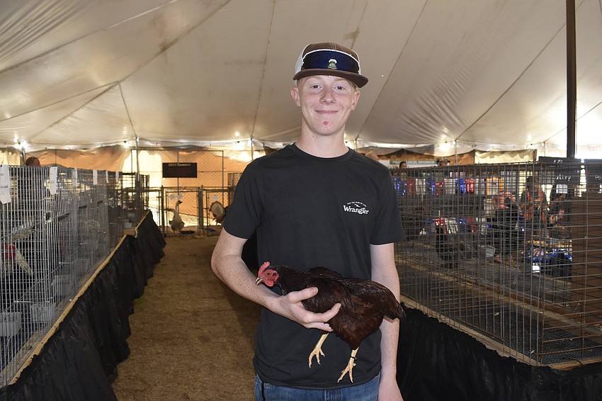 Ninth grader Caleb Hastings of 4-H stands with his chicken, Chick-Chick.