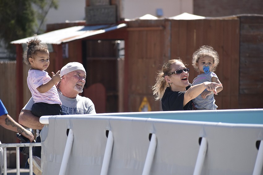 Valentine Torres, 2, her grandfather James Miller, grandmother Sugeiry Santiago, and sister Anistasa Torres, 2, enjoy watching the sea lions.