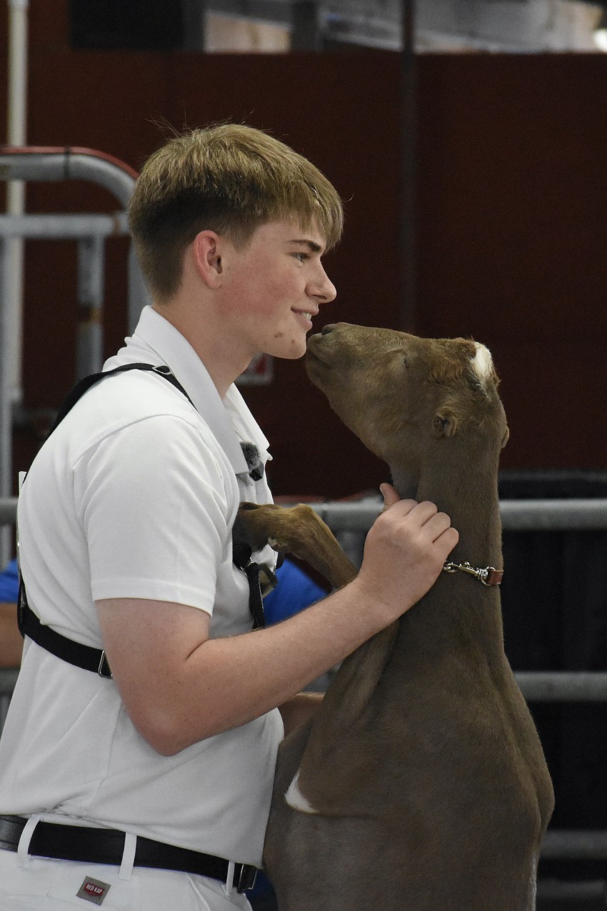 Andrew Hopper, a high school junior from Youth Leaders in Production Agriculture and 4-H, receives a dose of affection from his goat Paddywack.