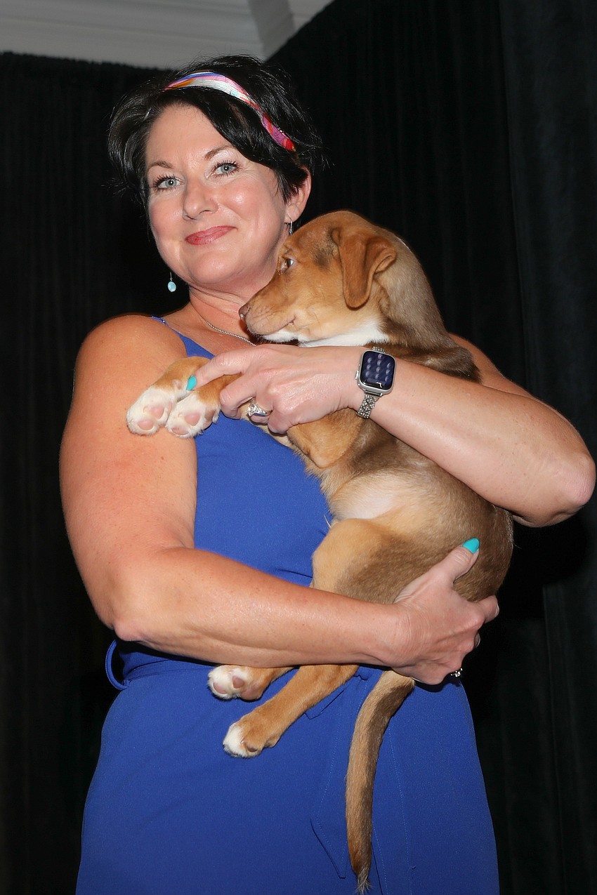 Connie Boros has huge plans and a great future planned for this tired pup.