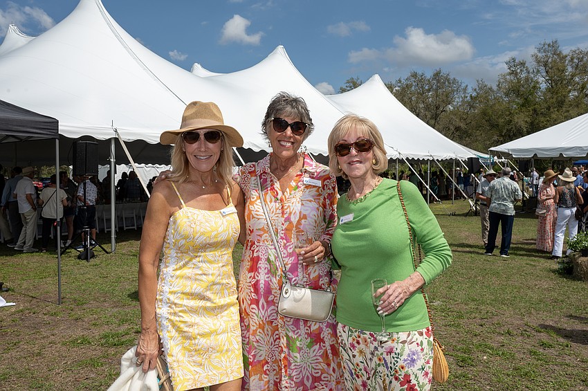 Elizabeth Merizon, Ann Johnson and Susan Gilmore-Clarke
