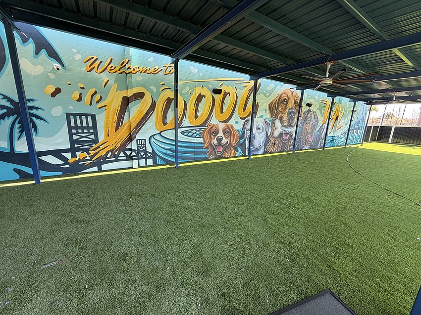 Kanine Social at The Block Jax includes 8,000 square feet of space for dogs to run and play.