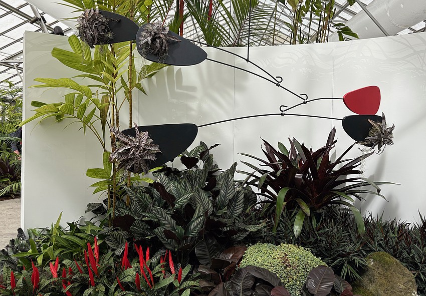 An interior view of a mobile juxtaposed with botanical creations at Marie Selby Botanical Gardens. An interior view of a mobile juxtaposed with botanical creations at Marie Selby Botanical Gardens.