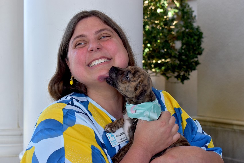 Dani Ziegler, the shelter director of The Humane Society at Lakewood Ranch, gets kisses from 8-week-old puppy, Bobbin, who is available for adoption.