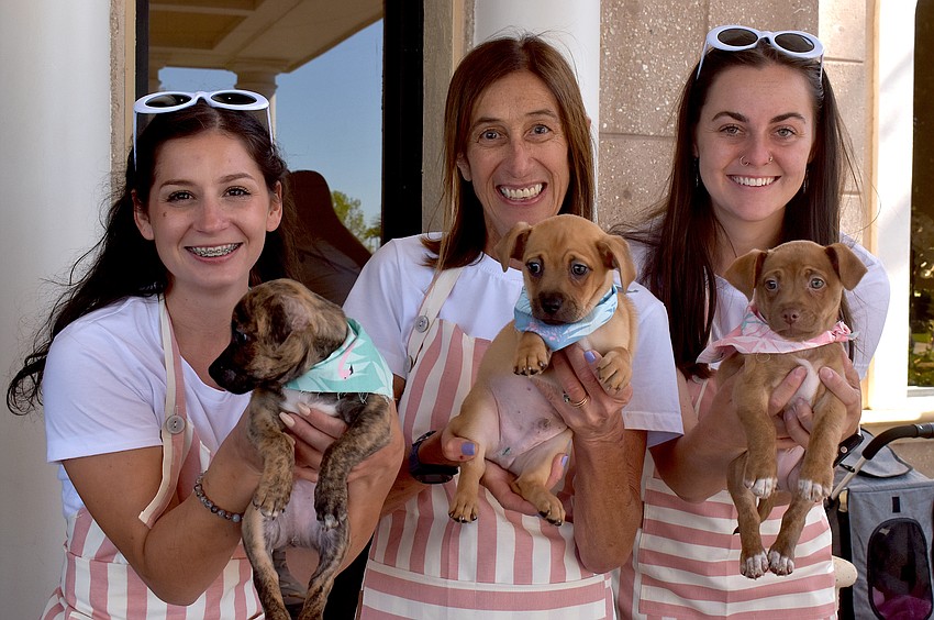 The Humane Society at Lakewood Ranch's Morgan Tinl, Lucy Kisela and Mora Jordan greet guests of Divas and Dogs with the help of 8-week-old puppies Zipper, Bobbin and Tailor.