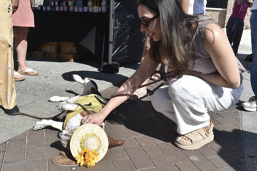 Ruby of Suncoast Basset Rescue meets Sofia Godinez.