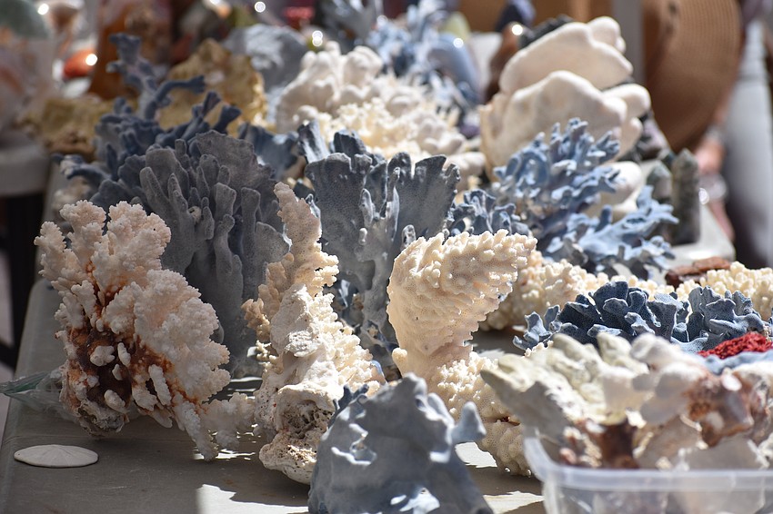 Corals are set out on display.