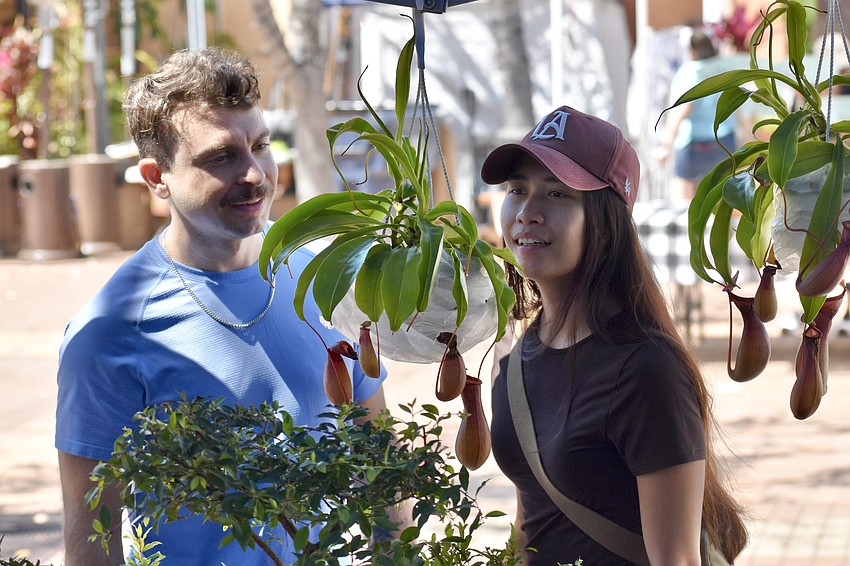 James and Sienna Gallagher look over the plants.