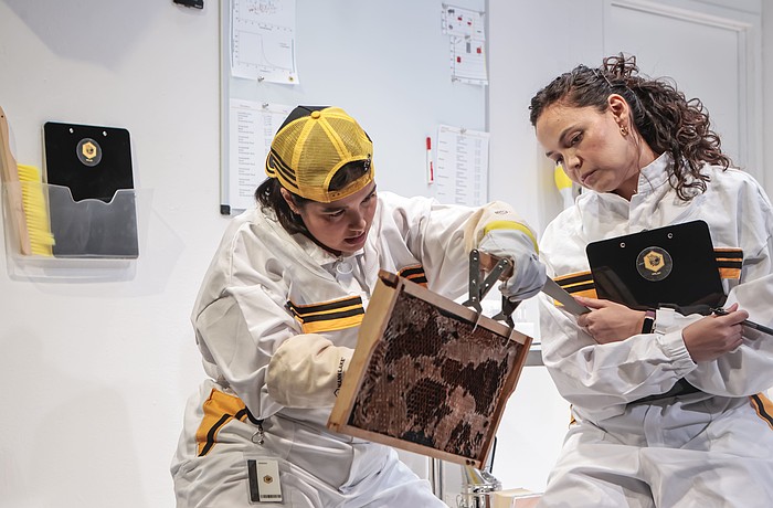 Christina Mei Chen and Dekyi Ronge discover a novel way of increasing their bee population in Urbanite Theatre's "The Apiary."