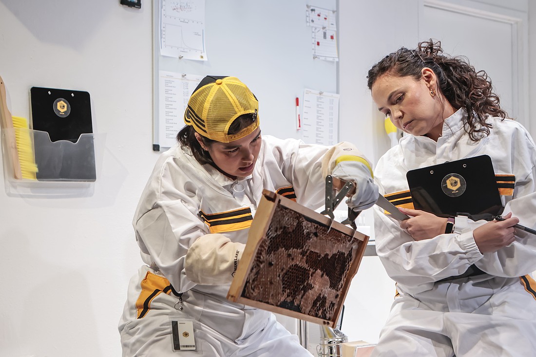 Christina Mei Chen and Dekyi Ronge discover a novel way of increasing their bee population in Urbanite Theatre's "The Apiary."