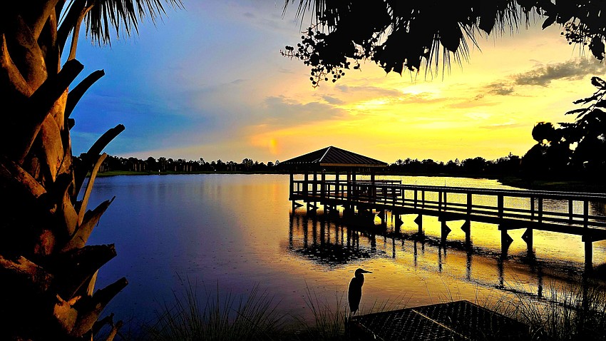 Gordon Silver took this photo of a peaceful evening along the lake in Del Webb Lakewood Ranch.