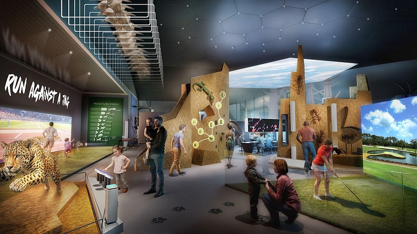 The Superhuman display is one of 10 planned in the Museum of Science and History's Northbank museum. According to the museum, it will highlight the science of human and animal health, physicality and well-being.