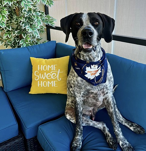 Radars' second surgery will take place six to eight weeks after the first procedure.