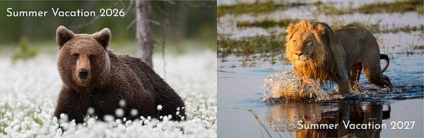 Your Next Extraordinary Summer Vacation Awaits