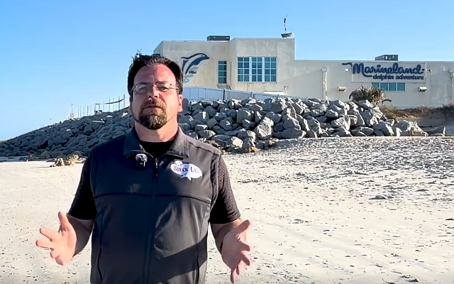 Jason Bruck, a marine mammal scientist and associate professor of biology, has been named Marineland Dolphin Adventure's new director of research and education. Courtesy of Marineland Dolphin Adventure