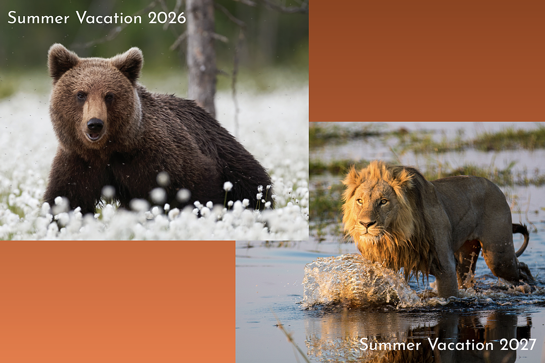 Sponsored - Your Next Extraordinary Summer Vacation Awaits