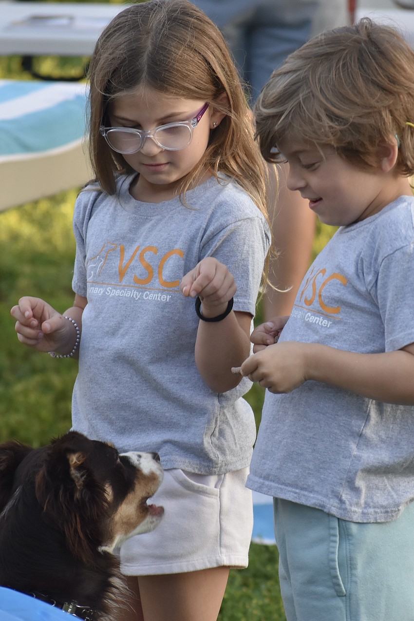 Olivia Rose, 7, and her twin brother Lochlan Rose, pet Cali.