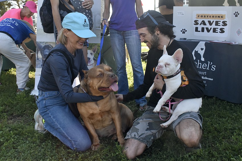 Janet Rice pets Hot Pocket, while talking with Kris Meyer, who is holding his dog Snookie.