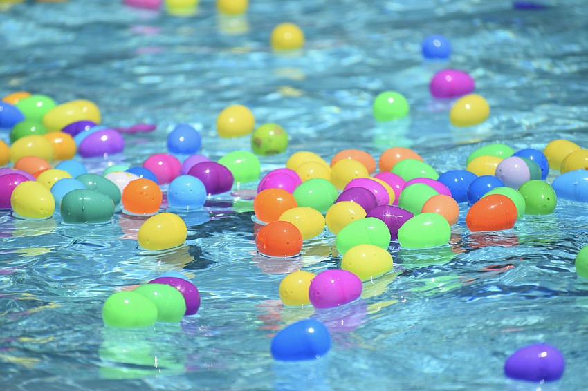 The eggs await the swimmers as an egg hunt begins.