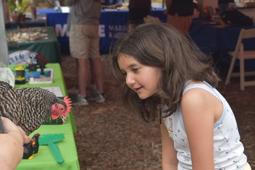Bluey the chicken of Sarasota County Mosquito Management meets Eloise Adelfang, 10.
