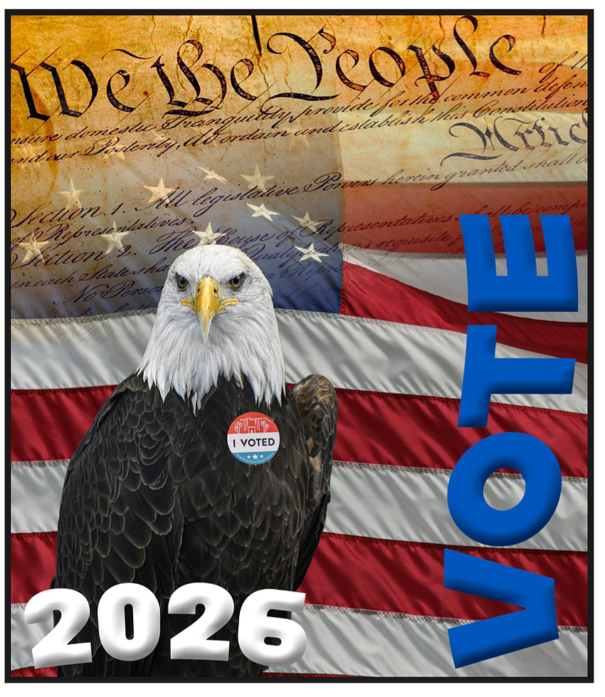 The 2026 Flagler County Voter's Guide cover, designed by Flagler Palm Coast High School student Jacoby Hurry. Courtesy photo, Flagler County Elections Office