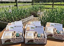 Did our Pig-Away story and photo fool you in our April Fools edition?