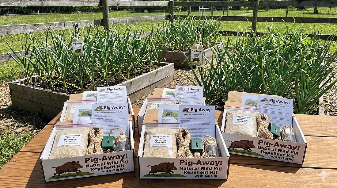 Did our Pig-Away story and photo fool you in our April Fools edition?